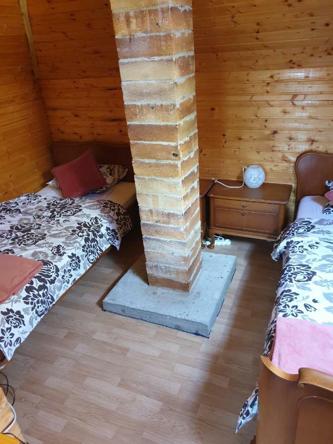 Arpaşu de SusCasa Ada别墅 外观 照片